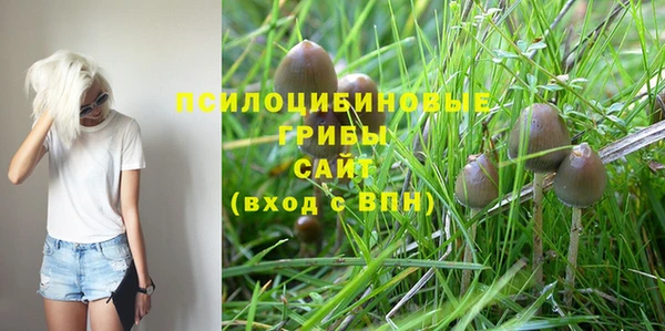 СК Абдулино