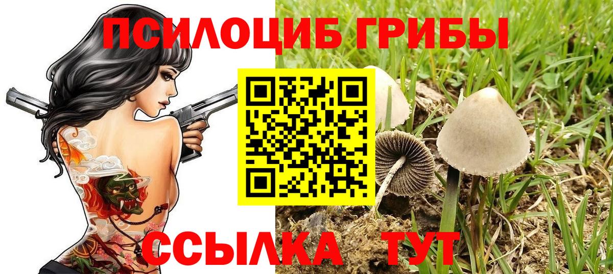 Псилоцибиновые грибы Magic Shrooms  где найти наркотики  Морозовск  Вход с VPN 